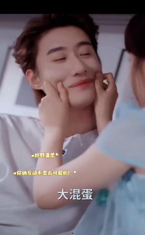 炽野温柔,探寻激情与柔情交织的奇妙旅程